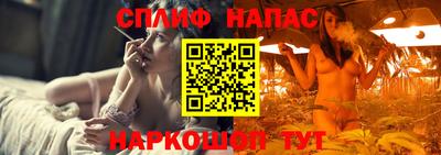 стаф Будённовск