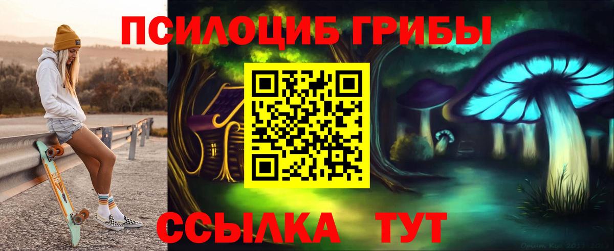 Чайковский  Псилоцибиновые грибы GOLDEN TEACHER  Галлюциногенные грибы MAGIC MUSHROOMS  Вход с VPN 