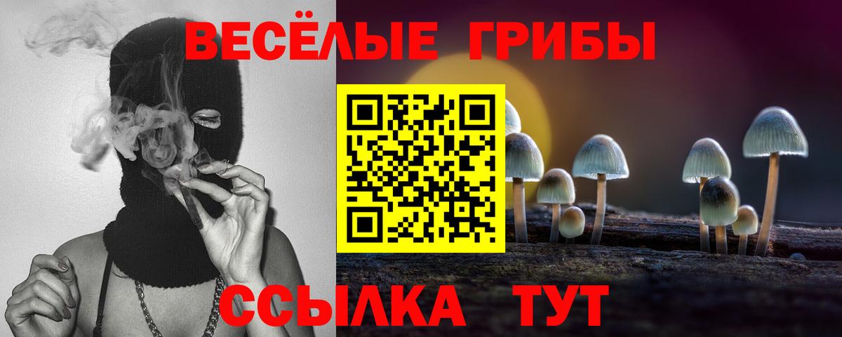 Галлюциногенные грибы Psilocybine cubensis Чайковский